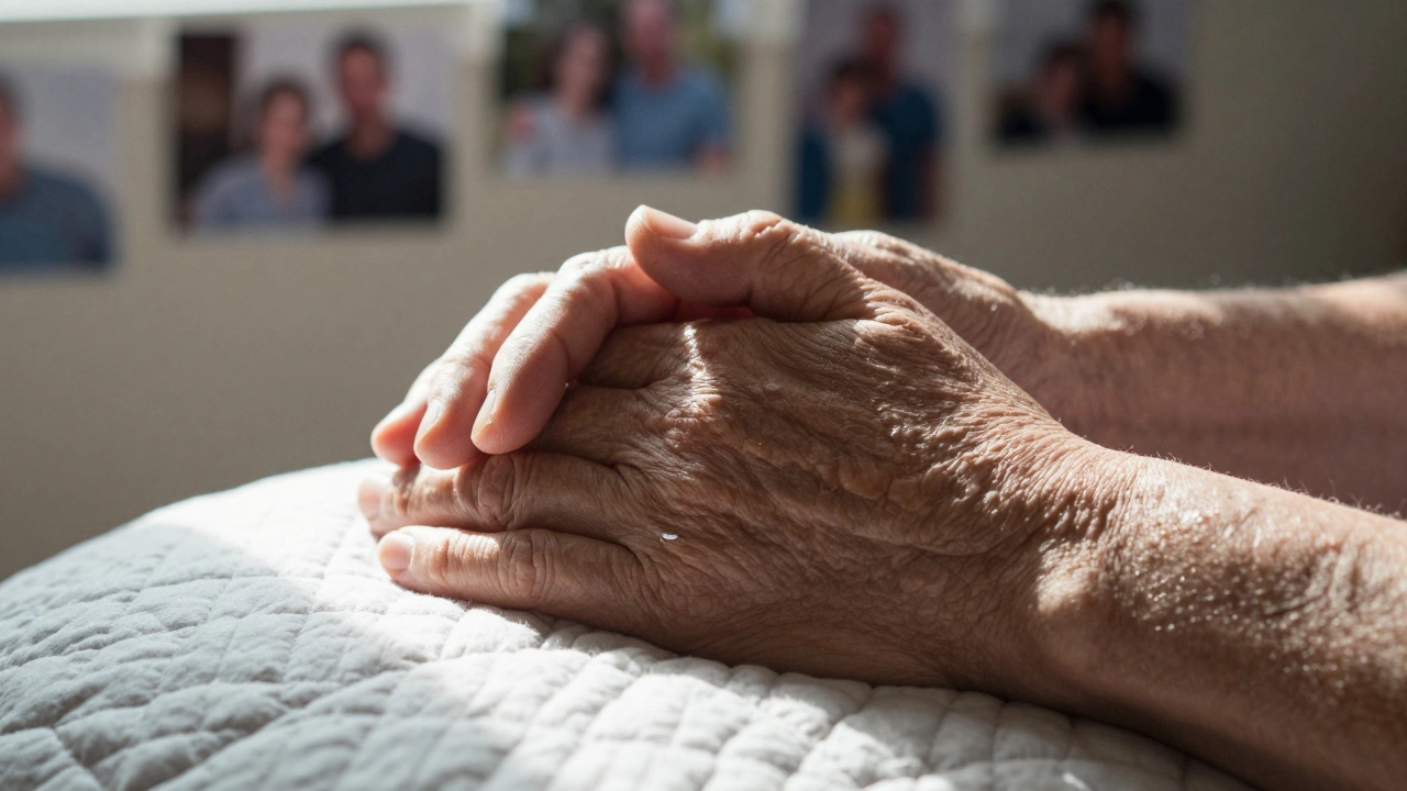 Dvě ruce se drží za ruce na pladě, slunce osvětluje jejich dotek.